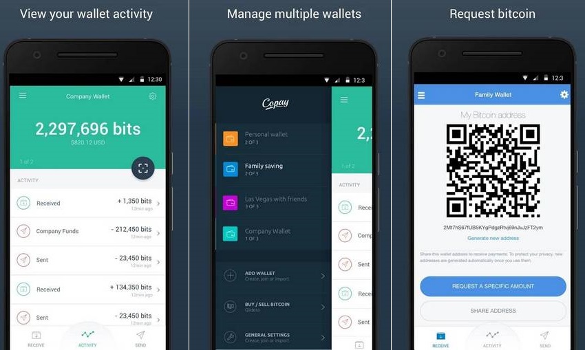 Copay Bitcoin Wallet with multi-user wallet support