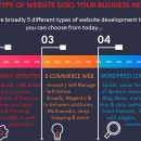 Web Design for Business Owners: What type of website design does your business need ?